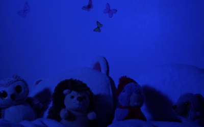 Un dragon sous mon lit